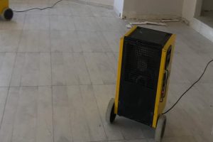 Parke Kurutma Nasıl Yapılır?