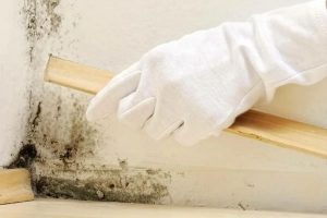 Rutubetin İnsan Sağlığı İçin Zararları