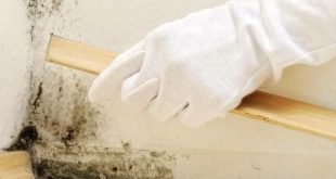 Rutubetin İnsan Sağlığı İçin Zararları
