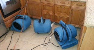 Binalardaki Kötü Kokuların Giderilmesi