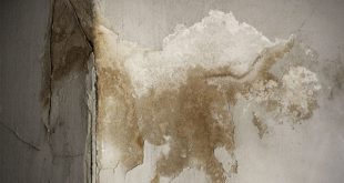 Nem Nasıl Giderilir