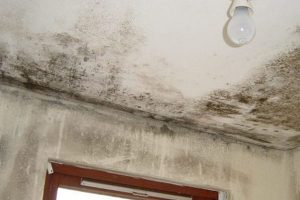 Nem Nasıl Önlenir?