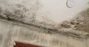 Nem Nasıl Önlenir?