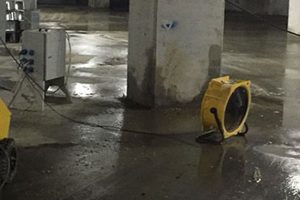 Rutubet Giderme İşlemi