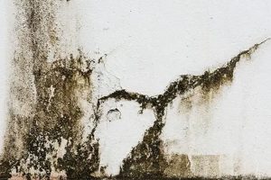 Rutubet Nasıl Önlenir?